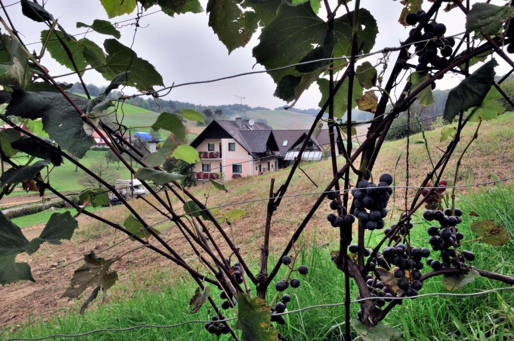 Gaestehaus Anna Unterlamm  Exteriör bild